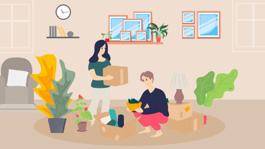 House Plant Packing Moving tips