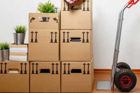 First-Cargo-Movers-Shifting.jpg