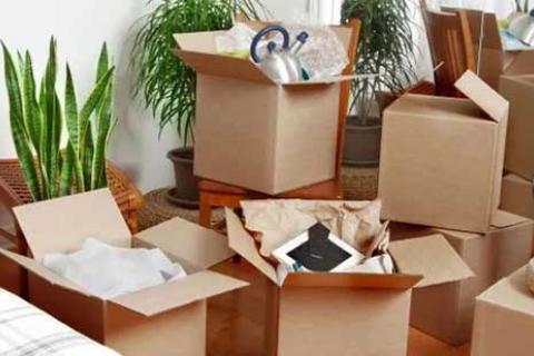 First-Cargo-Movers-Unpacking.jpg